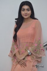 Avantika Mishra At Vaishakham Movie Success meet